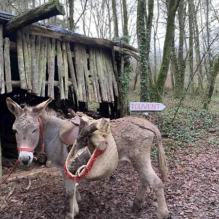 Grande Maison Au Milieu Des Bois בית נופש *